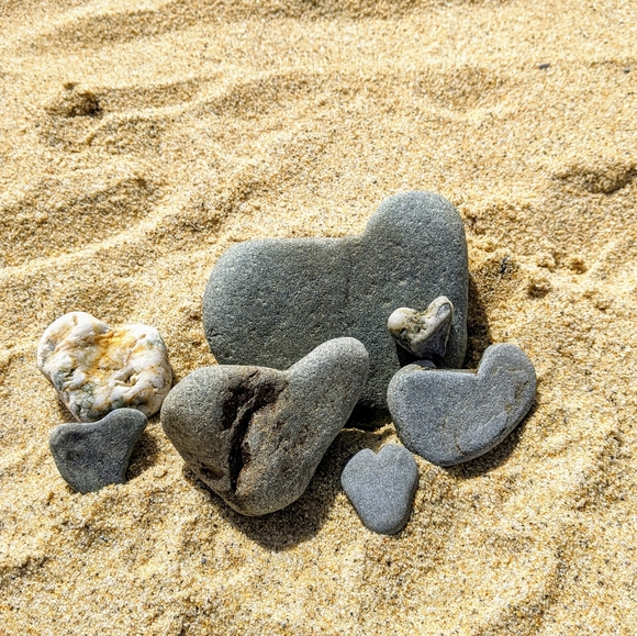 Meet your Posher, Kristin - Picture 3 of 4